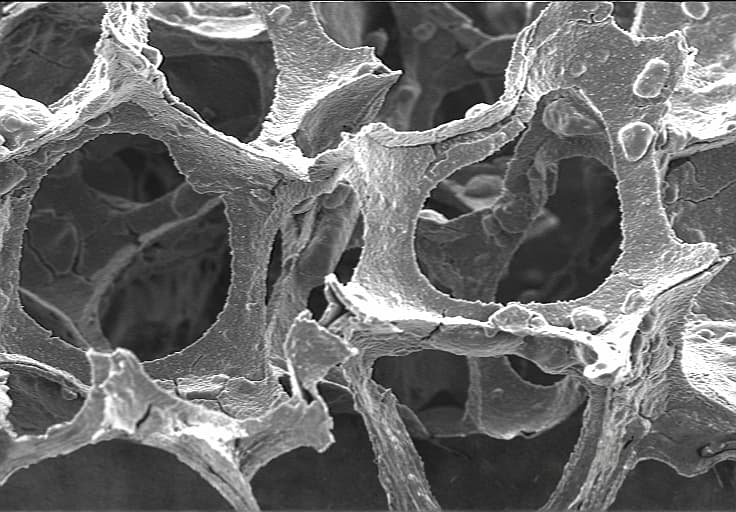 CERASORB Bioactive aplicación