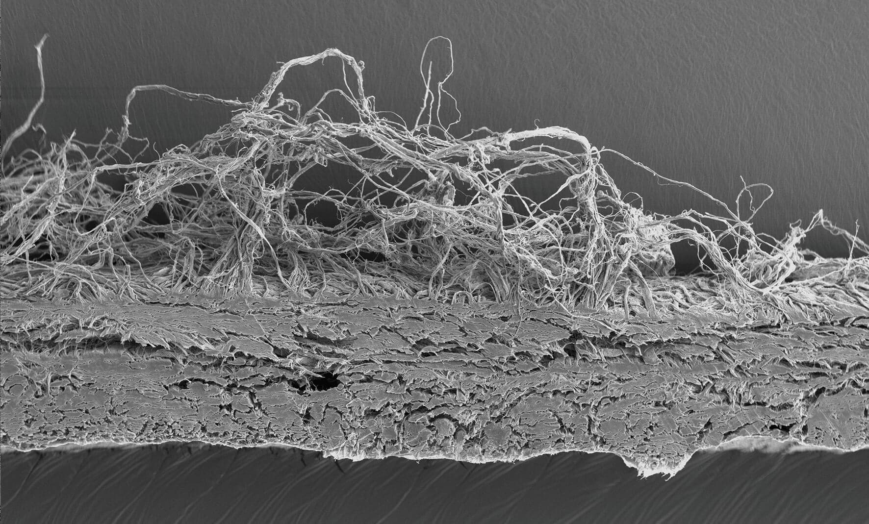 OSGIDE REM cross section
