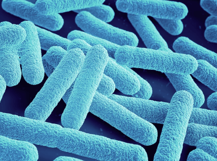 Infecciones orales